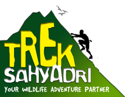 Trek Sahyadri - Logo